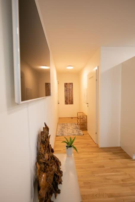 Schoenes Living Am Donauufer Vienna Exterior photo